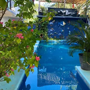 book here